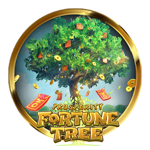 Fortune tree pgslot222ได้เงินจริง