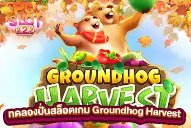 ทดลองปั่นสล็อตเกม Groundhog Harvest